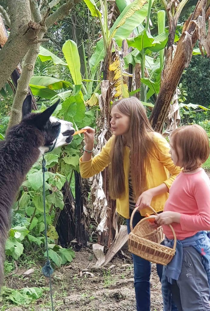 Hotels near Quito international airport Hacienda Jimenita
