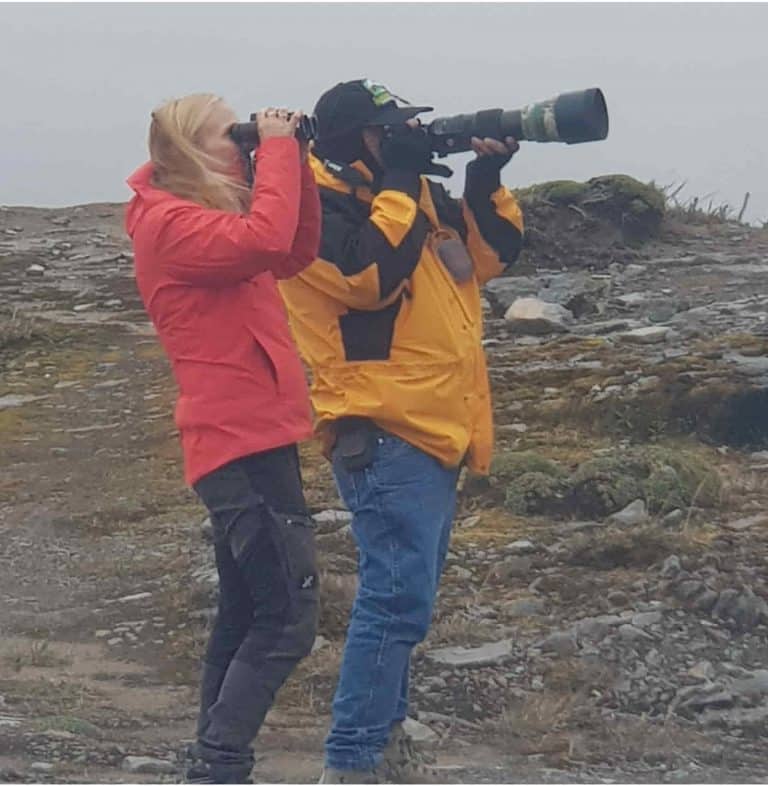Birdwatching Jimenita
