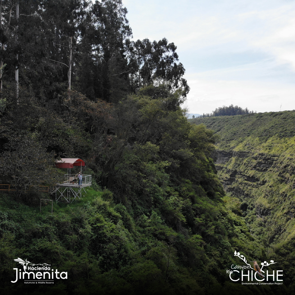 Full day JUNIO y JULIO, Cañon del Rio Chiche