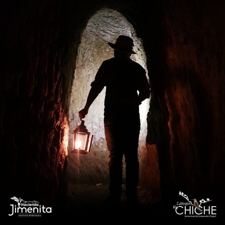 túnel arqueológico